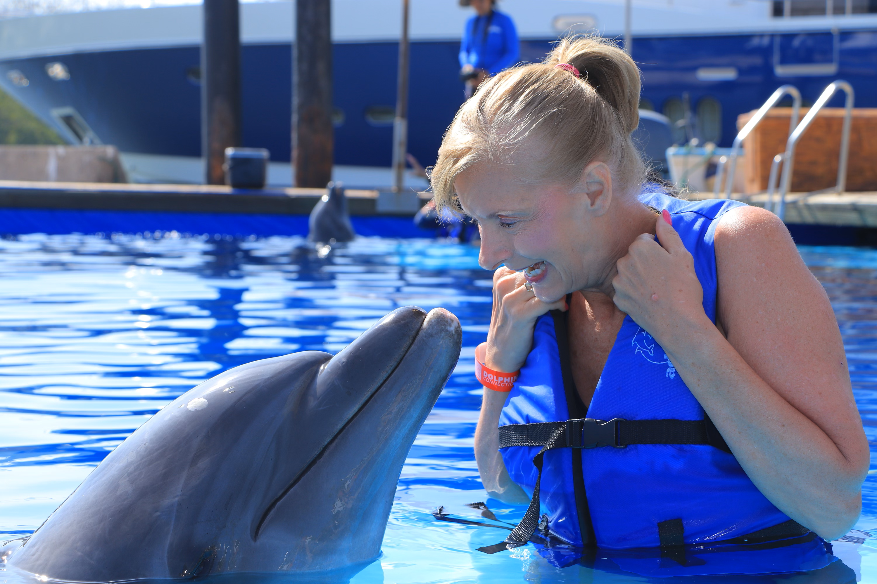 Elite Cruises Dolphin Encounter